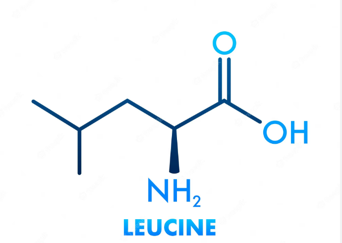 Leucina fórmula química