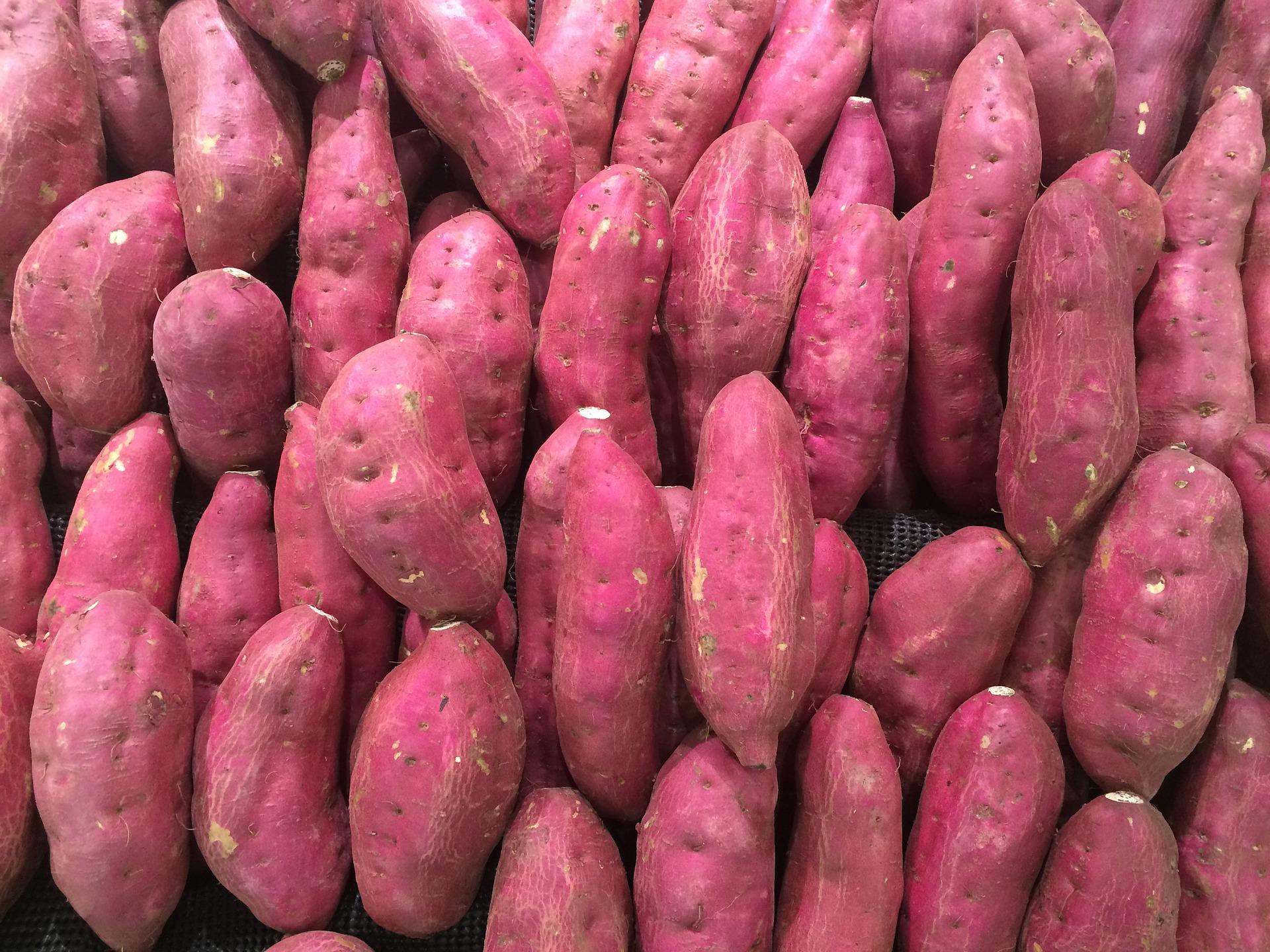 batata doce imagem