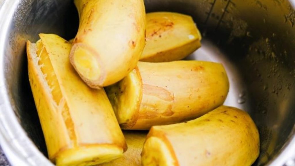 banana-da-terra