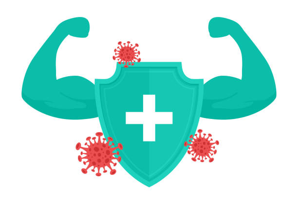 imunidade ilustração escudo verde músculos
