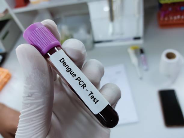 teste de dengue vidro