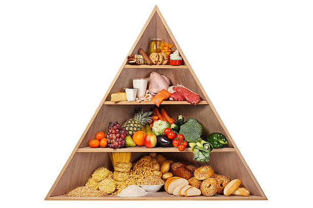 pirâmide alimentar