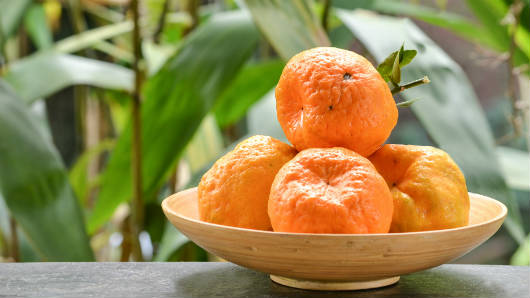 ponkan tangerina fruta na tigela