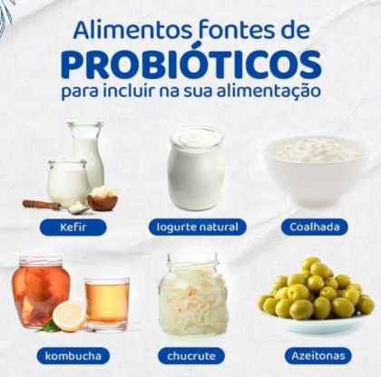 alimentos probióticos