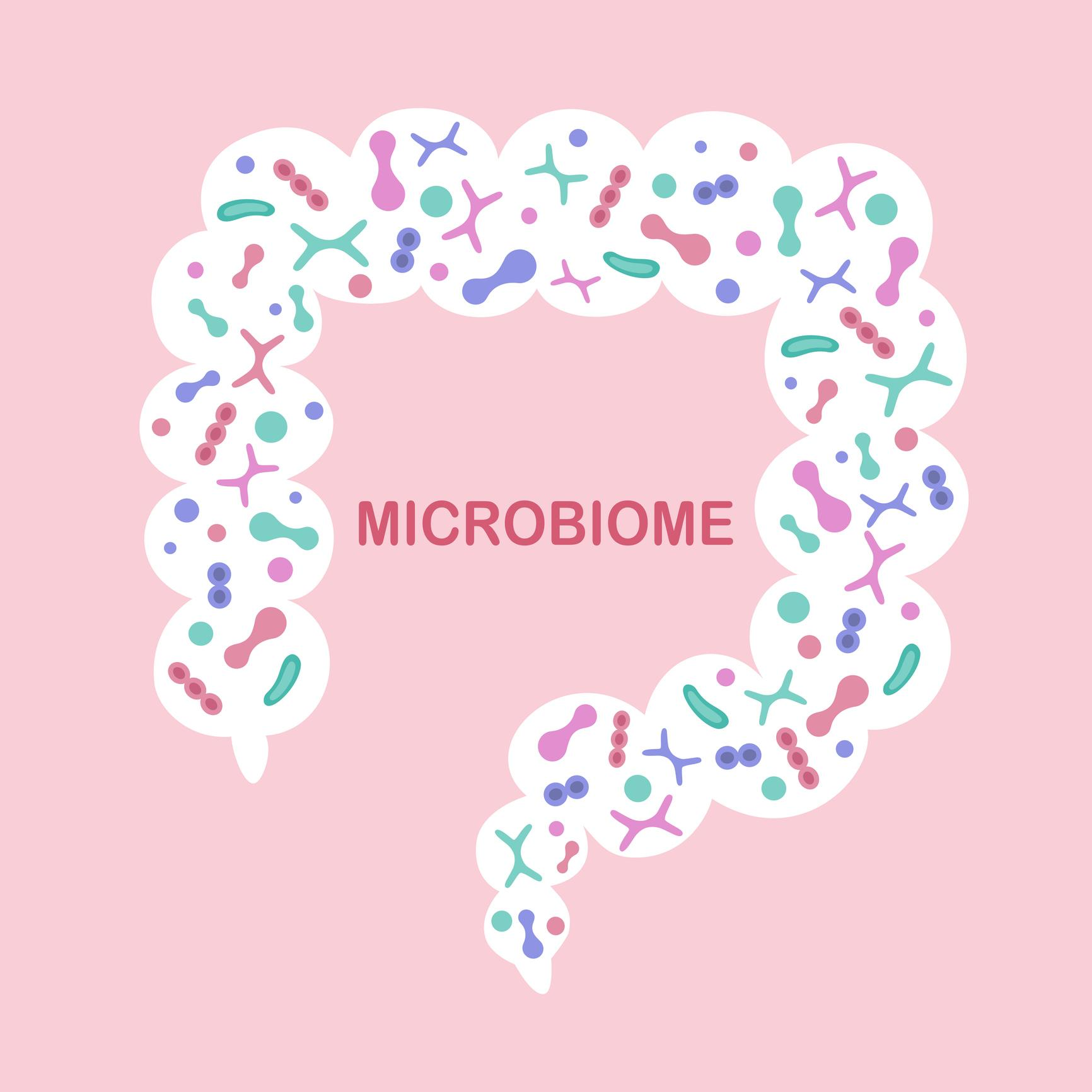 microbiome probióticos