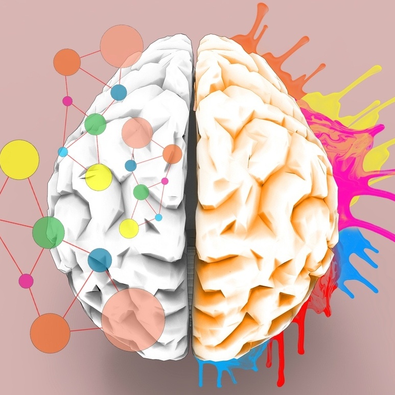 neurozen imagem cérebro