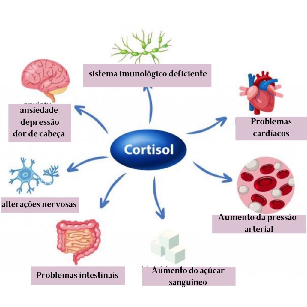 relora cortisol mapa