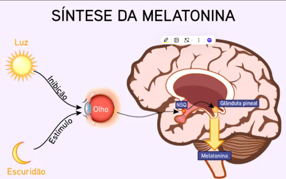 síntese da melatonina