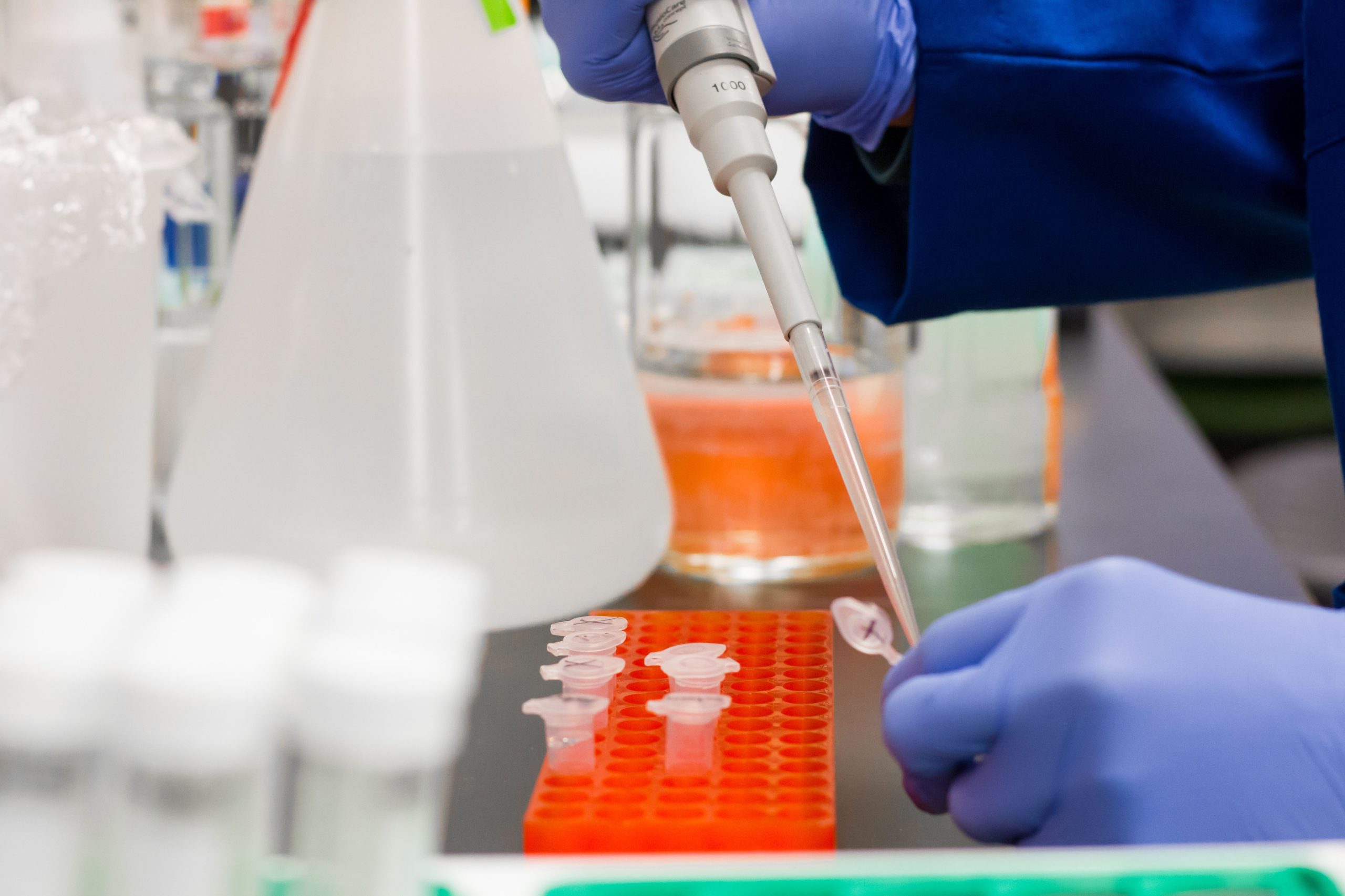 Pesquisador em laboratório analisando amostras científicas